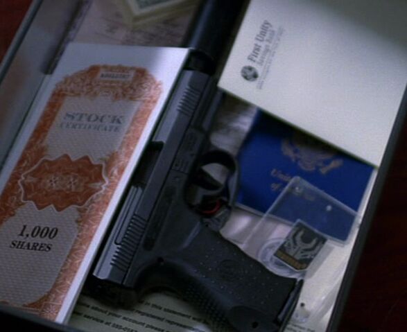 File:8x20 SW99.jpg