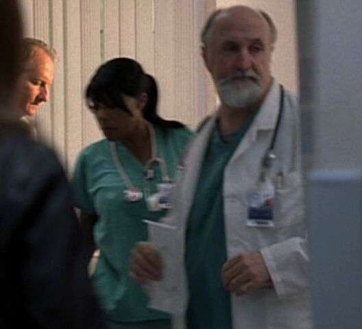 File:Beardfaceon24.jpg