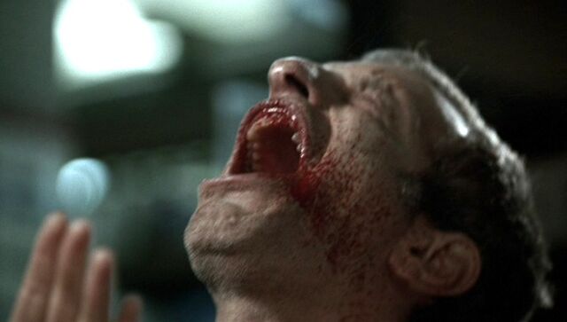 File:8x04a.jpg