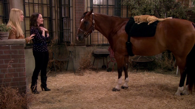 File:2-broke girls-303.png