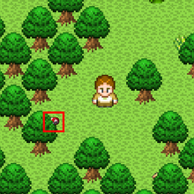 Mushroom Location