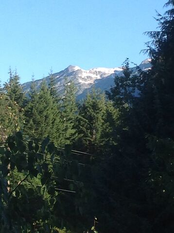 File:Whistler.jpg