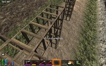 7DtD-3.jpg