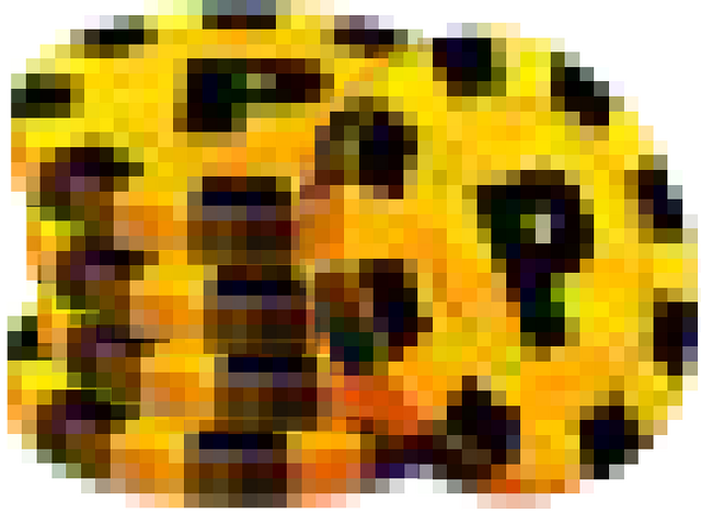 File:Pool Coins icon 1.png