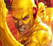 Flashzoombanner