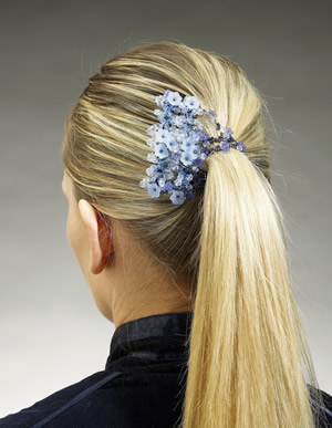 Bestand:Ponytail.jpg