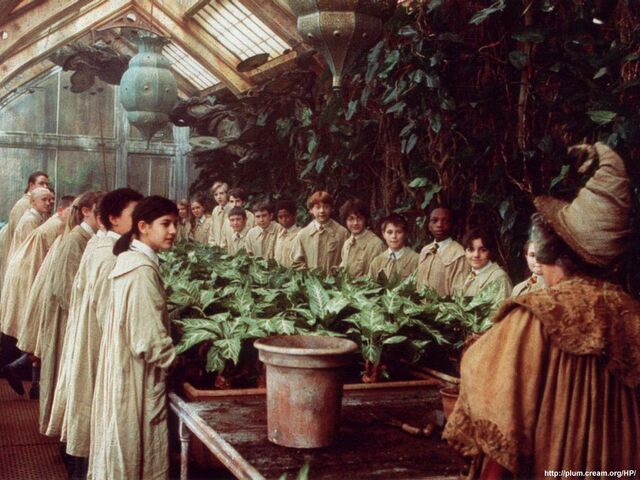 File:Herbology88.jpg