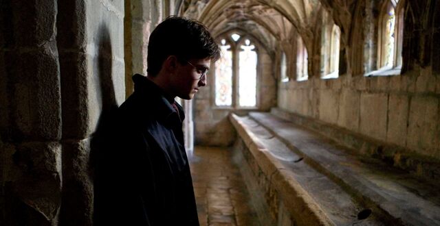 File:Harry in Hallway.jpg