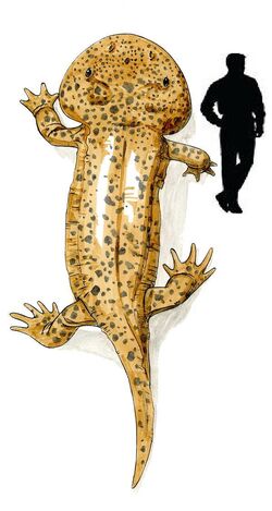 Koolasuchus.jpg