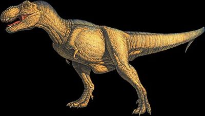 Tyrannosaurus.jpg