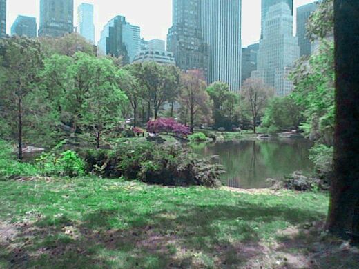 CENTRAL PARK