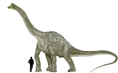 Pelorosaurus.jpg