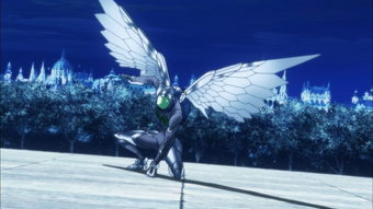 7b.png