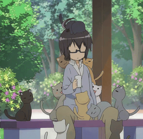 File:Tumblr ngvcw7nTLN1s7cgs6o1 500.gif