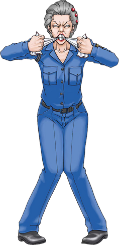 File:Oldbag.png