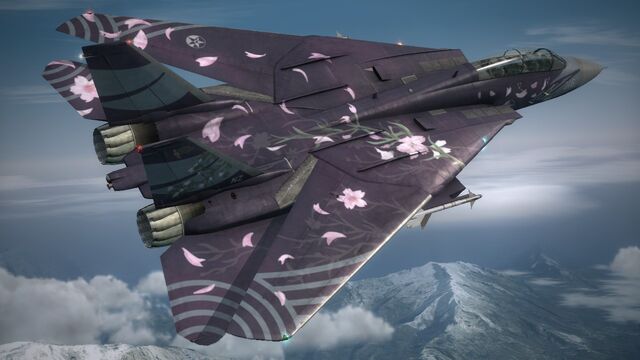 File:F-14D ZIPANG Rear.jpg
