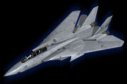 F-14A Site