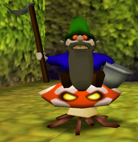 File:Gardenofillusion gnome2.jpg