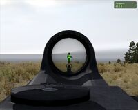 Mirareflexiva.jpg