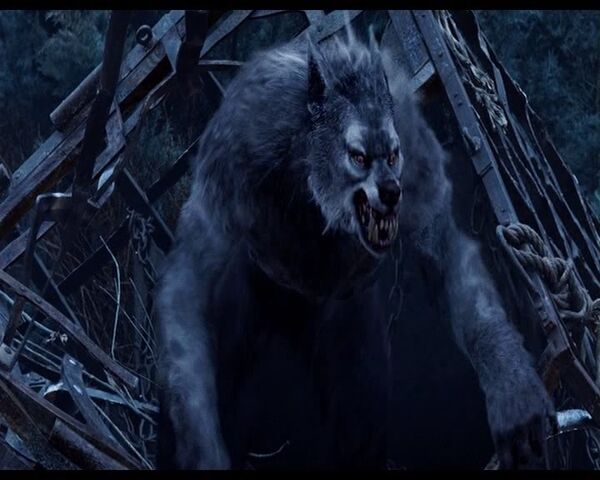 File:Werewolf.jpg