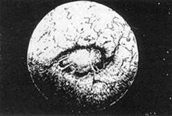 Ghroth