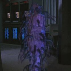 Suspiria Nacene-1-