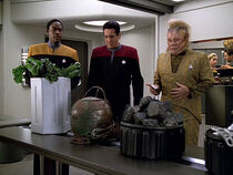 Neelix