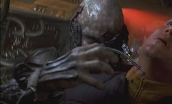 664850-assimilation546