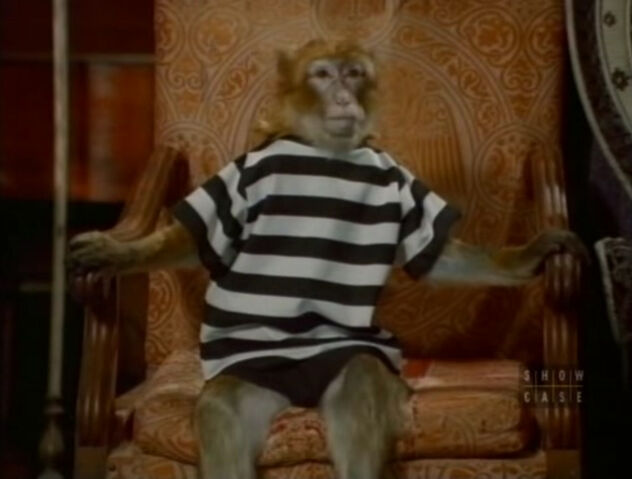 File:Af smitty.jpg