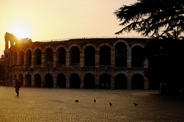 File:Waespi verona280516 04.jpg