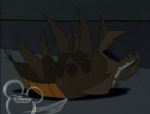 Giant Beetle Onion