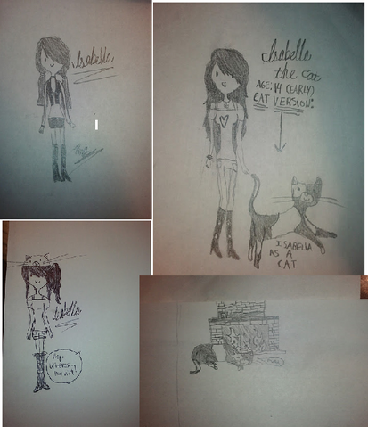 File:Isabella the cat.png
