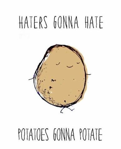 File:Haters-gonna-hate-potatoes-gonna-potate.jpg