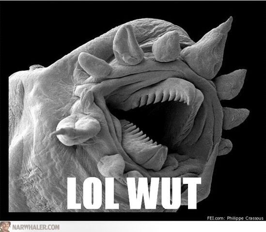 File:Bacteria-monster-lolwut-NuSyfL.jpg