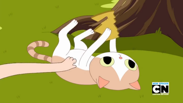 File:Finn scratching boxprince S5E37.png