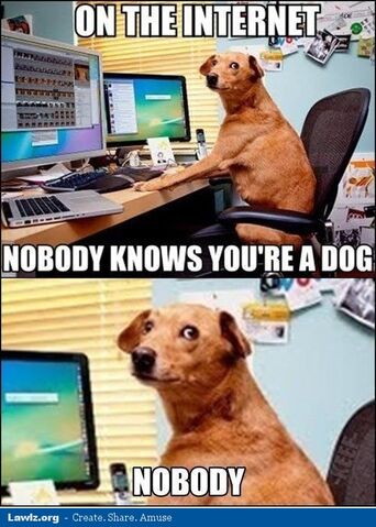 File:On-the-internet-nobody-knows-youre-a-dog-meme.jpg