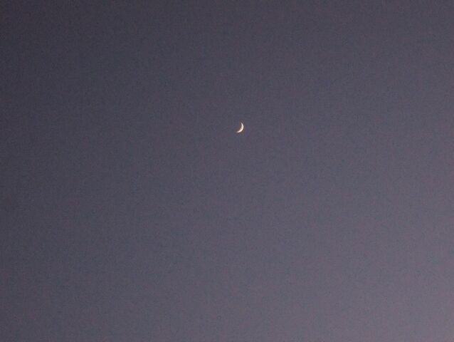 File:101 0852.jpg