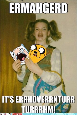 File:Hurr-durr-derp-face-whert-term-es-ert1.jpg