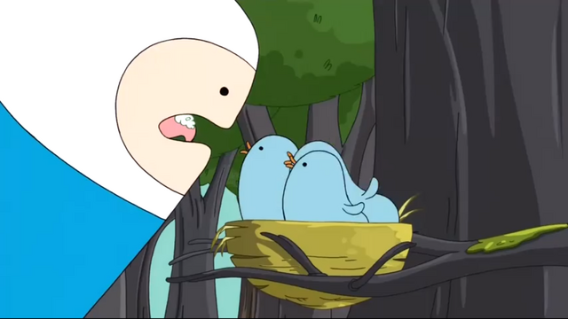 File:S2e10 Finn feeding birds.png