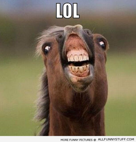 File:LOLHORSE.png