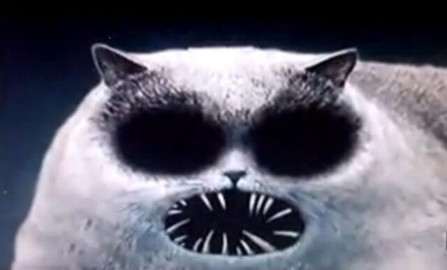 File:Flapjack cat by IsolaLuu13.jpg