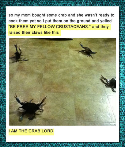 File:Funny-kid-crab-lord-cooking.jpg