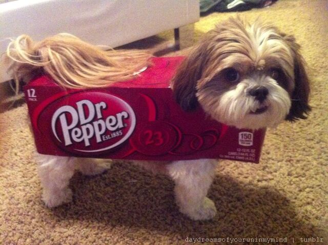 File:Dr pepper costume.jpg