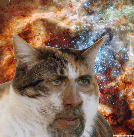 File:Theonlyimportantpic.gif