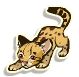 Elusive Ocelot