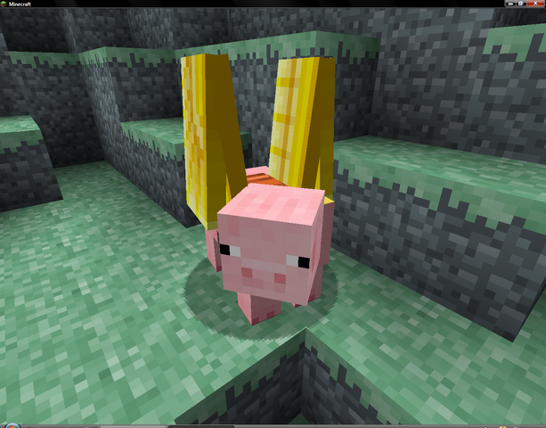 File:Phyg5.png