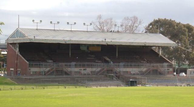 File:Arden Street Oval 4.jpg