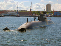 BMS U-31