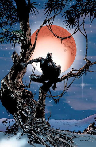 File:Black Panther, The.jpg