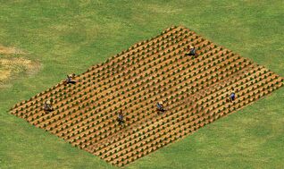 Granja.jpg